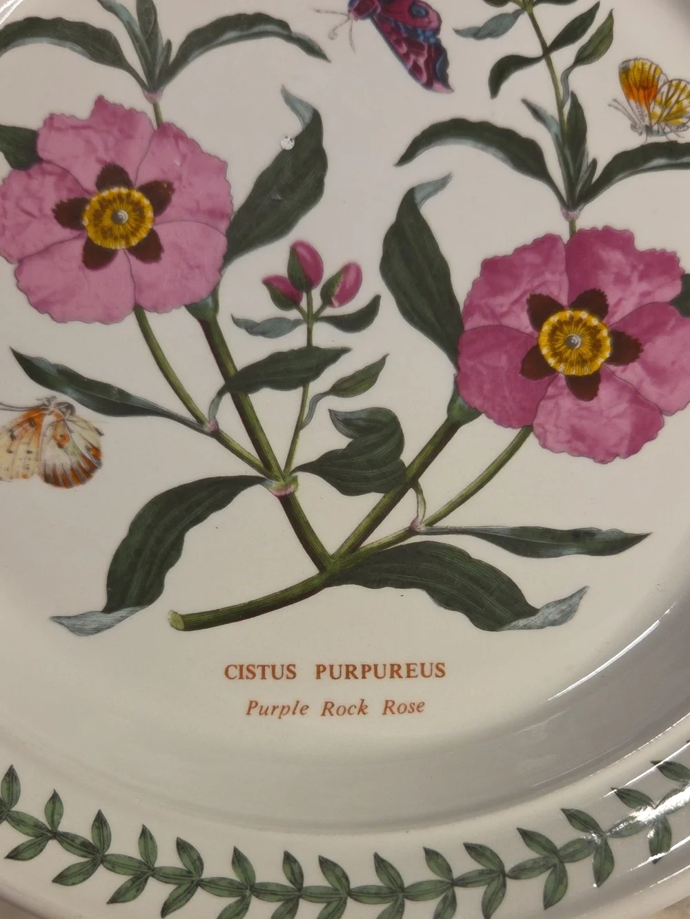 Vintage Portmeirion The Botanic Garden Floral Salad Plates 1972 | Britian Set 4